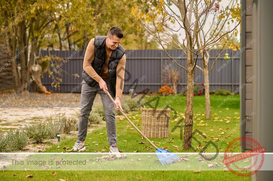Why Skip Hire Makes Perfect Sense for Garden Waste Removal