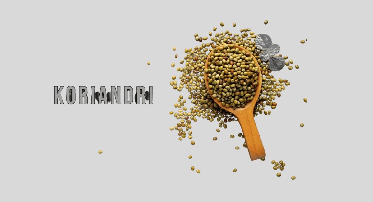 Koriandri (Coriander): Complete Guide to This Ancient Wonder Herb